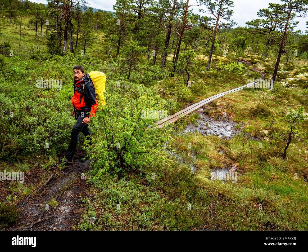 Der Wanderweg bietet Wanderern alle Arten von Geländearten. Da die Route von Schweden nach Norwegen führt, verändert sich die Landschaft ständig, von felsig, sumpfig, hügelig, bewaldet, Usw. Die skandinavische Pilgerfahrt ist bekannt als „St. Olavsleden' ist eine 580km km lange Strecke, die von der Ostsee im Osten zum Atlantischen Ozean im Westen, von Selånger in Schweden nach Trondheim in Norwegen führt. Stockfoto