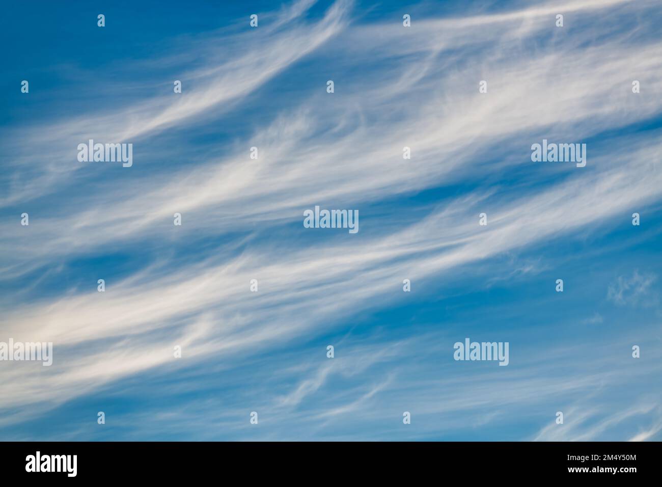 Ein detailliertes Bild von weißen, wispy Cirrus Wolken, die sich gegen Einen blauen Tageshimmel stellen hochauflösendes Bild Stockfoto