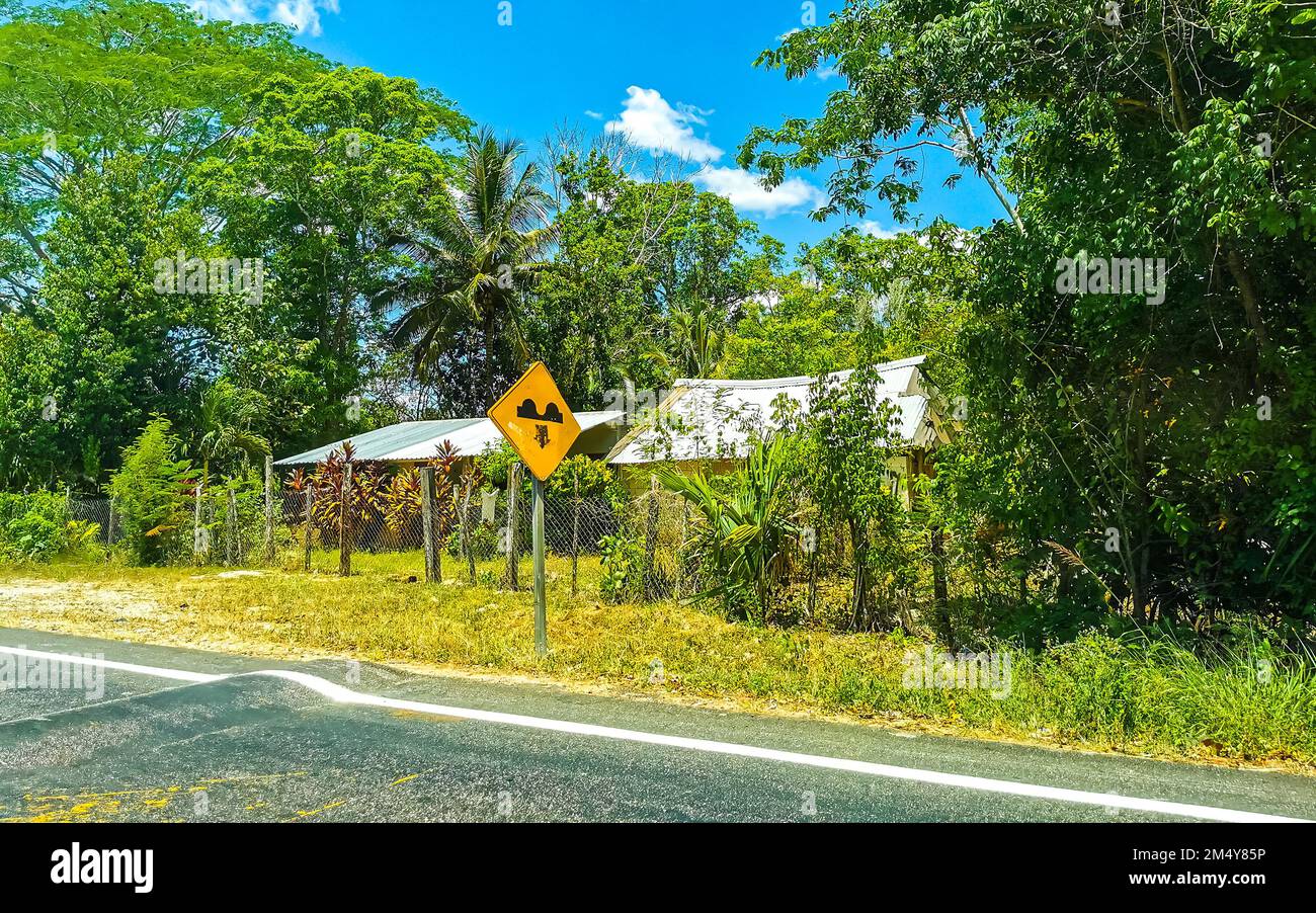 Tropischer Dschungel und Wald mit Straße durch das Dorf Kantunilkin Lazaro Cardenas in Quintana Roo Mexiko. Stockfoto