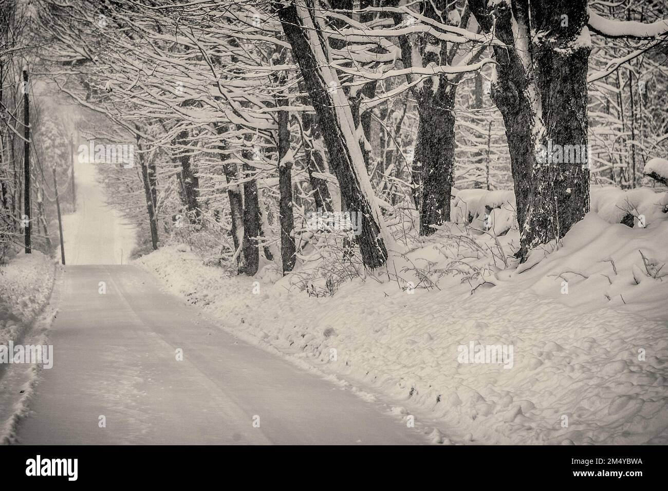 Eine schneebedeckte Straße in Phillipston, Massachusetts Stockfoto