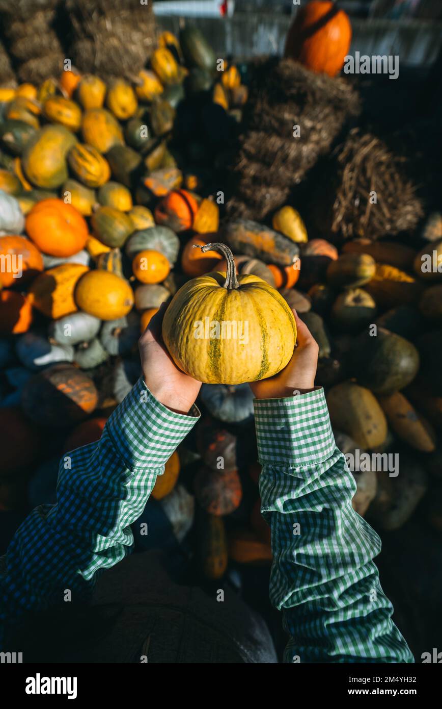 Verkäuferin zeigt die Herbsternte an der Kamera. Das Konzept der Landwirtschaft. Stockfoto