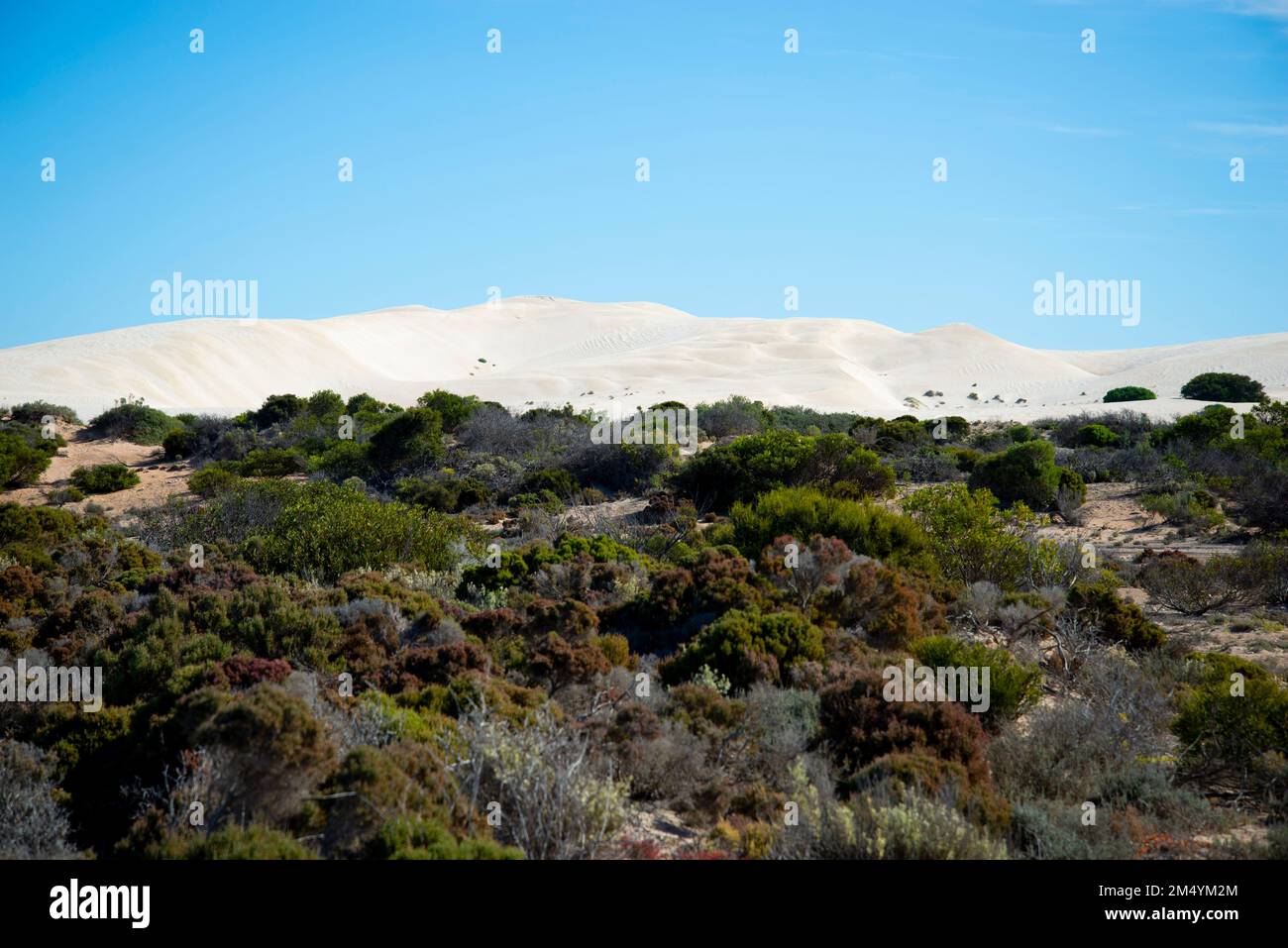 Point Sinclair Sand Dunes - South Australia Stockfoto