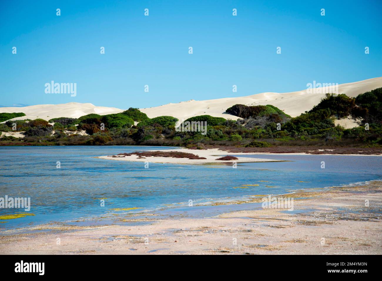 Point Sinclair Sand Dunes - South Australia Stockfoto