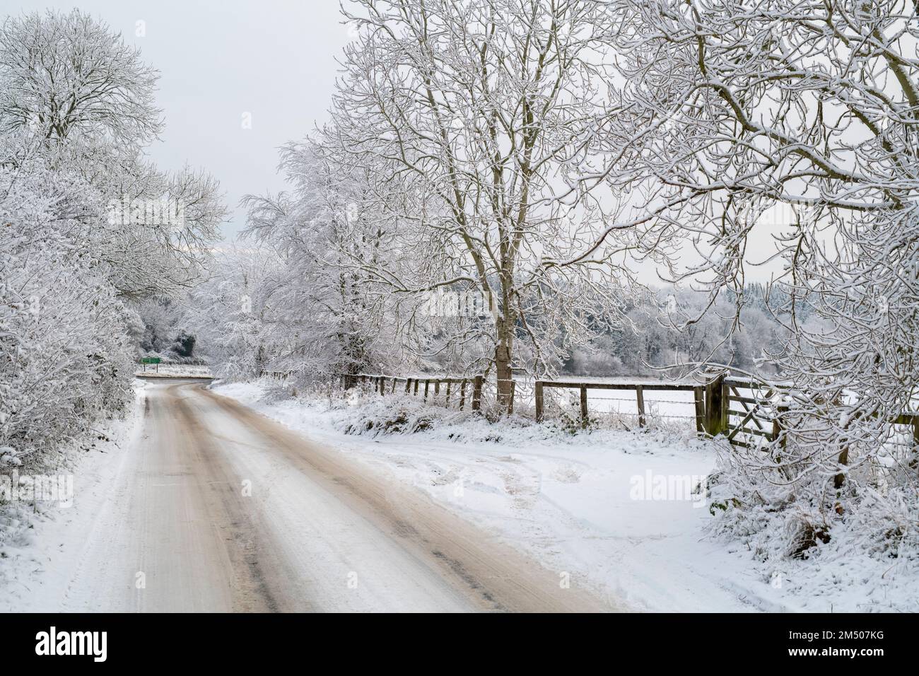 Bäume und Straßen in der cotswold-Landschaft im Schnee. Cotswolds, Glouchestershire, England Stockfoto