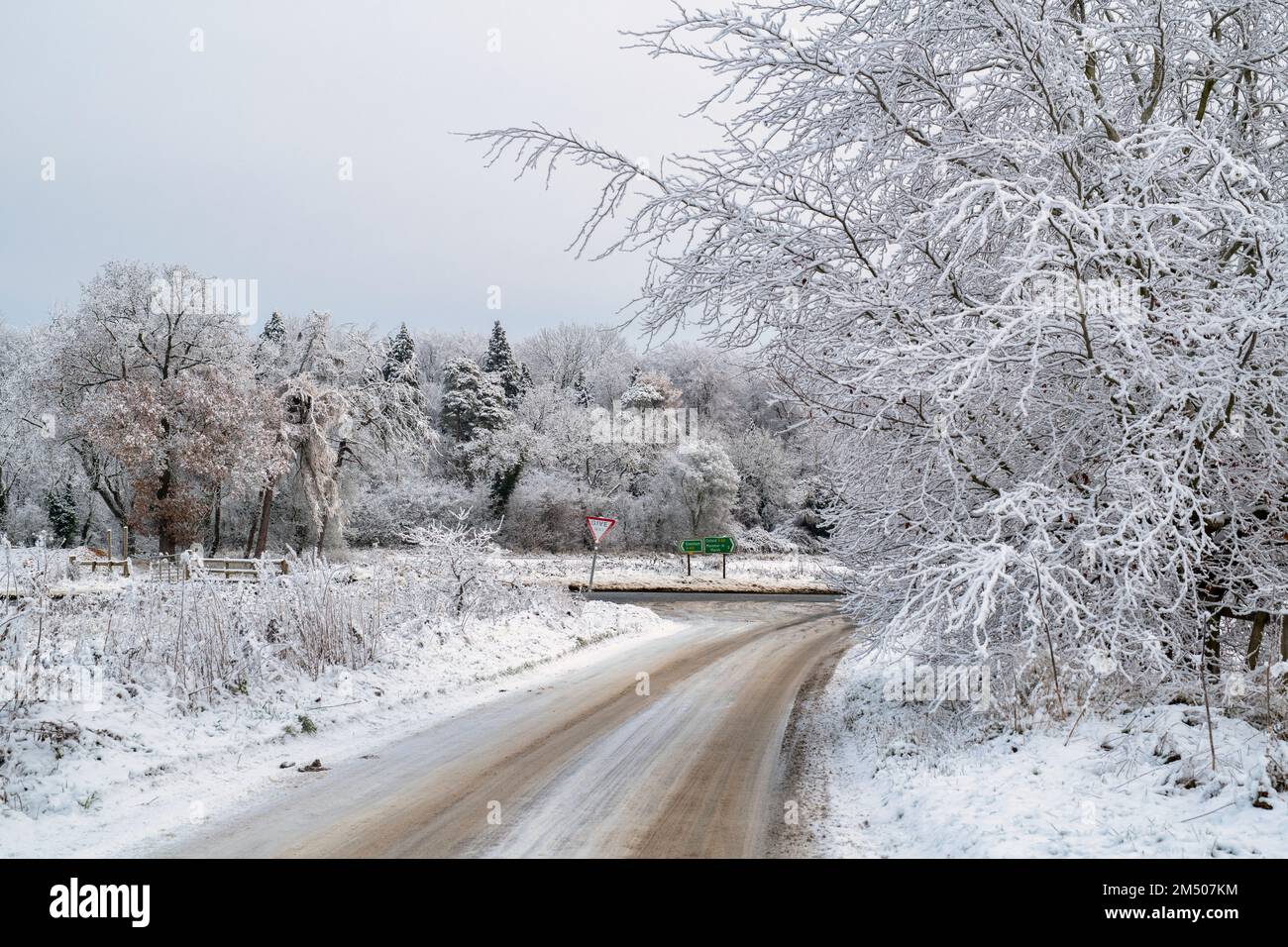Bäume und Straßen in der cotswold-Landschaft im Schnee. Cotswolds, Glouchestershire, England Stockfoto