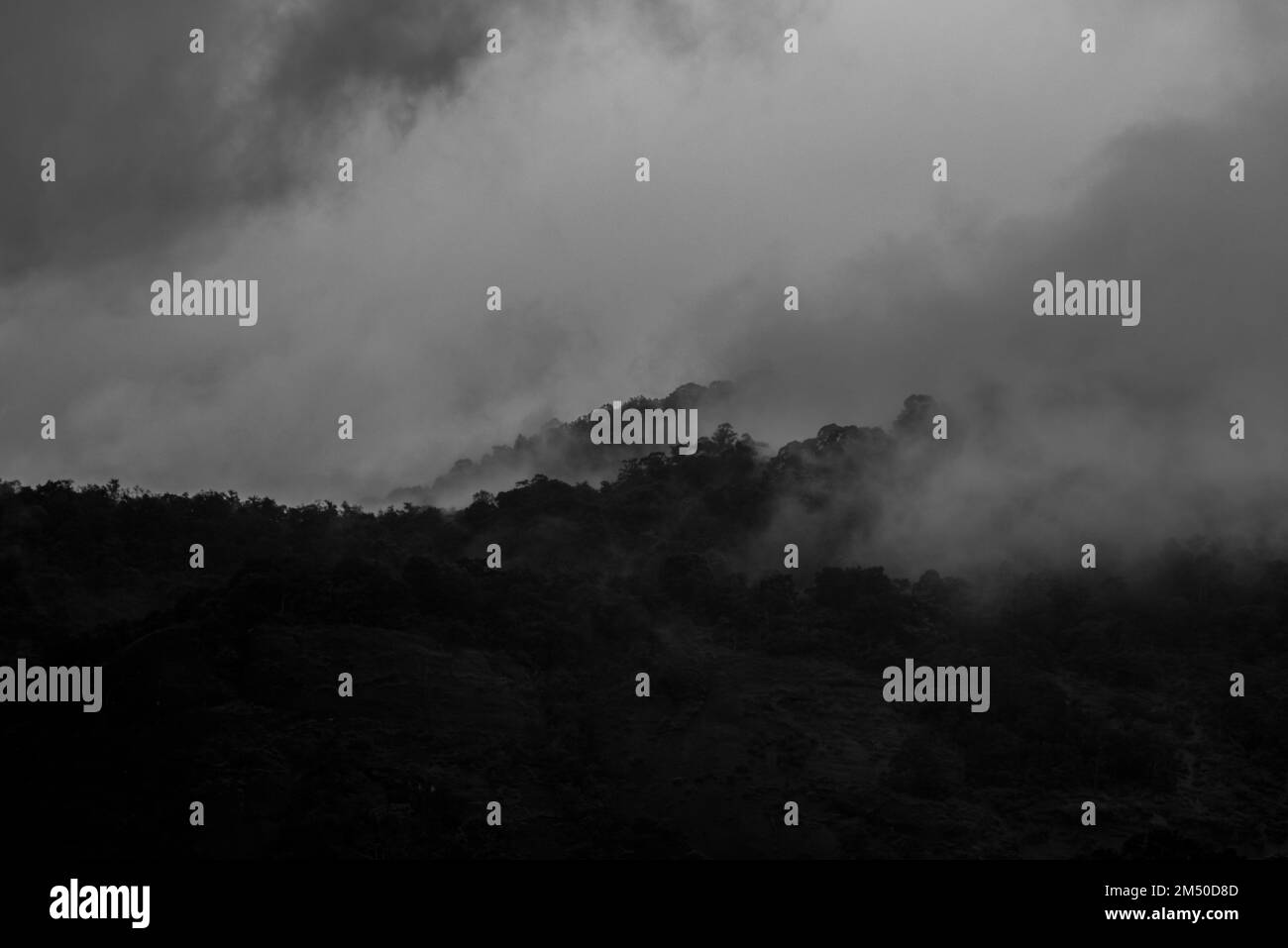 Ein bewaldeter Berg, umgeben vom Rauch des Waldbrandes, das Konzept der Umweltkatastrophe Stockfoto