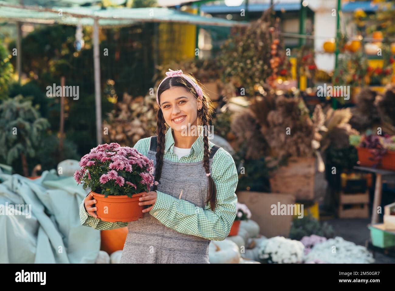 Frau hält dekorative Blume in Blumentopf auf dem Markt. Stockfoto