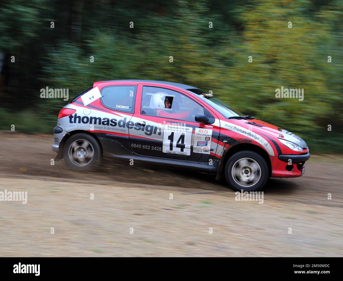 Peugeot 206 bei der Camberley Rally 2013, Surrey, Großbritannien Stockfoto