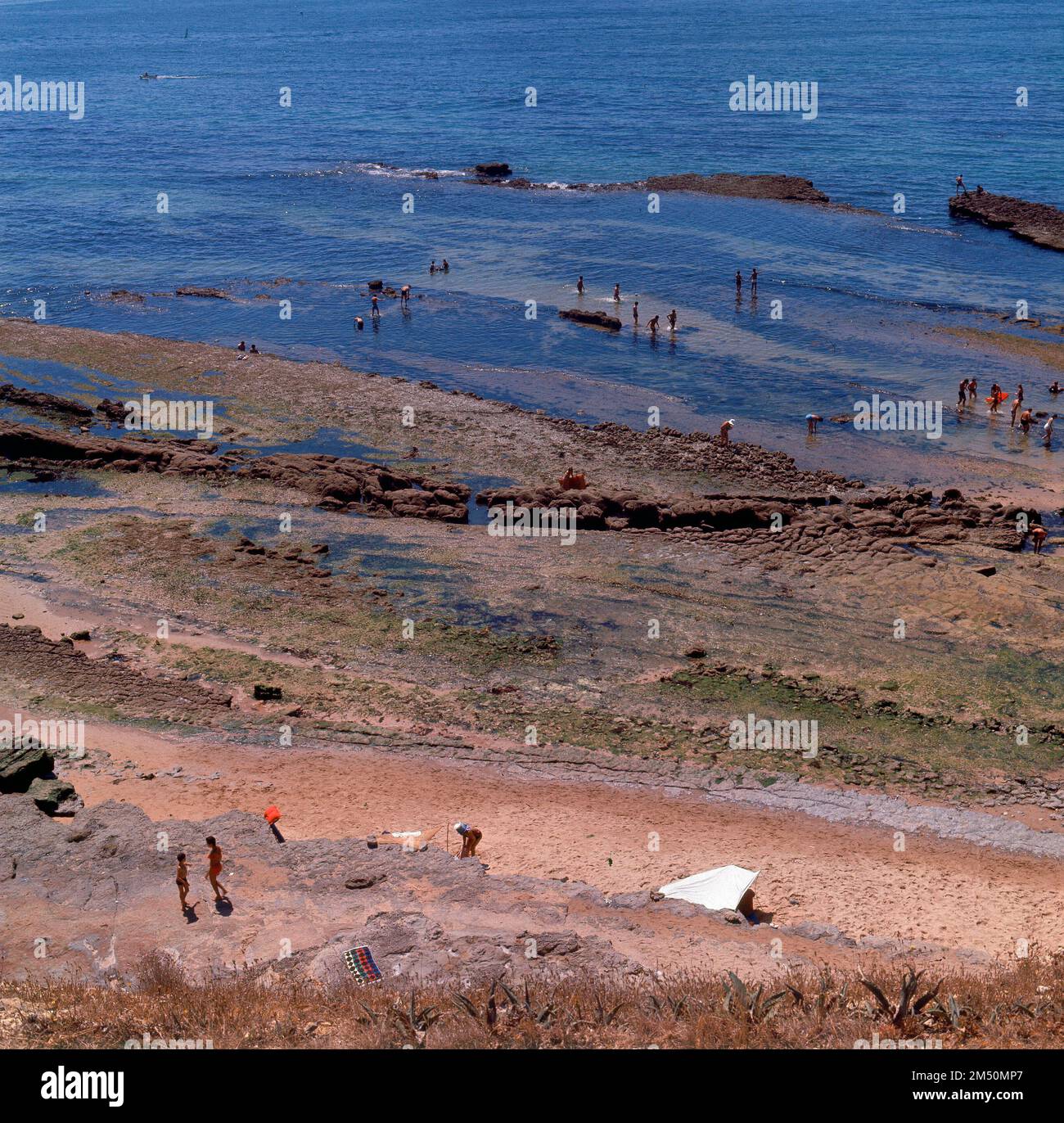MARISCADORES EN LA PLAYA - FOTO AÑOS 60. Lage: AUSSEN. Oeiras. PORTUGAL. Stockfoto