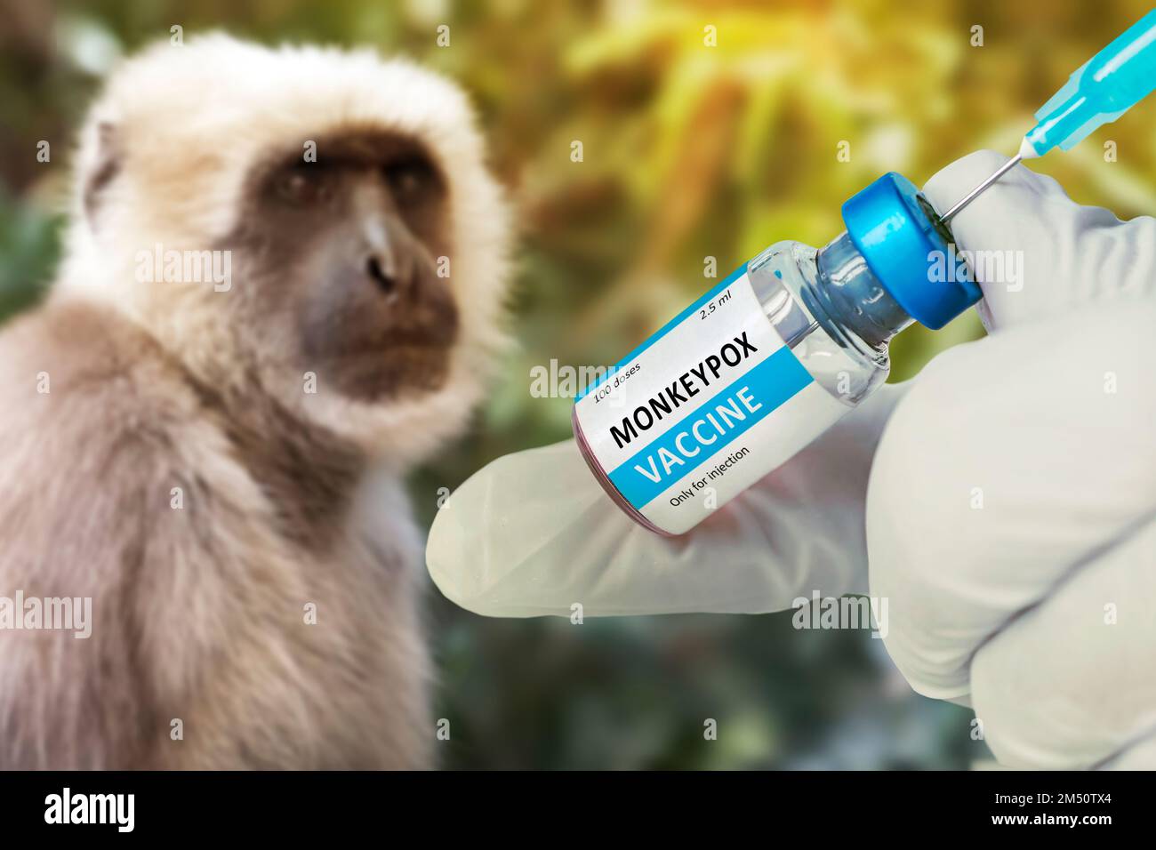 Der Begriff Medizin und Veterinärmedizin. Der Impfstoff gegen Affen-Pocken. Tiermedizin. Eine Glasflasche mit Pockenimpfstoff und einem syri Stockfoto