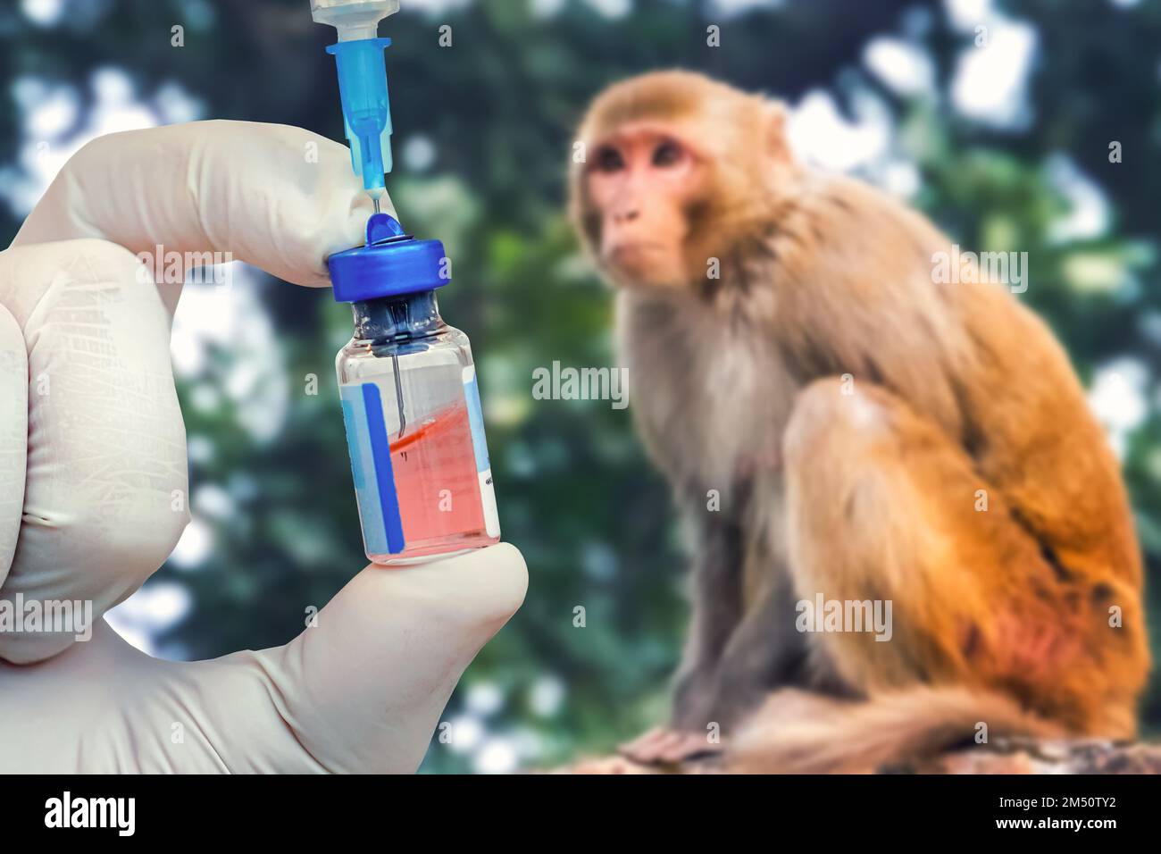Der Begriff Medizin und Veterinärmedizin. Der Impfstoff gegen Affen-Pocken. Tiermedizin. Stockfoto