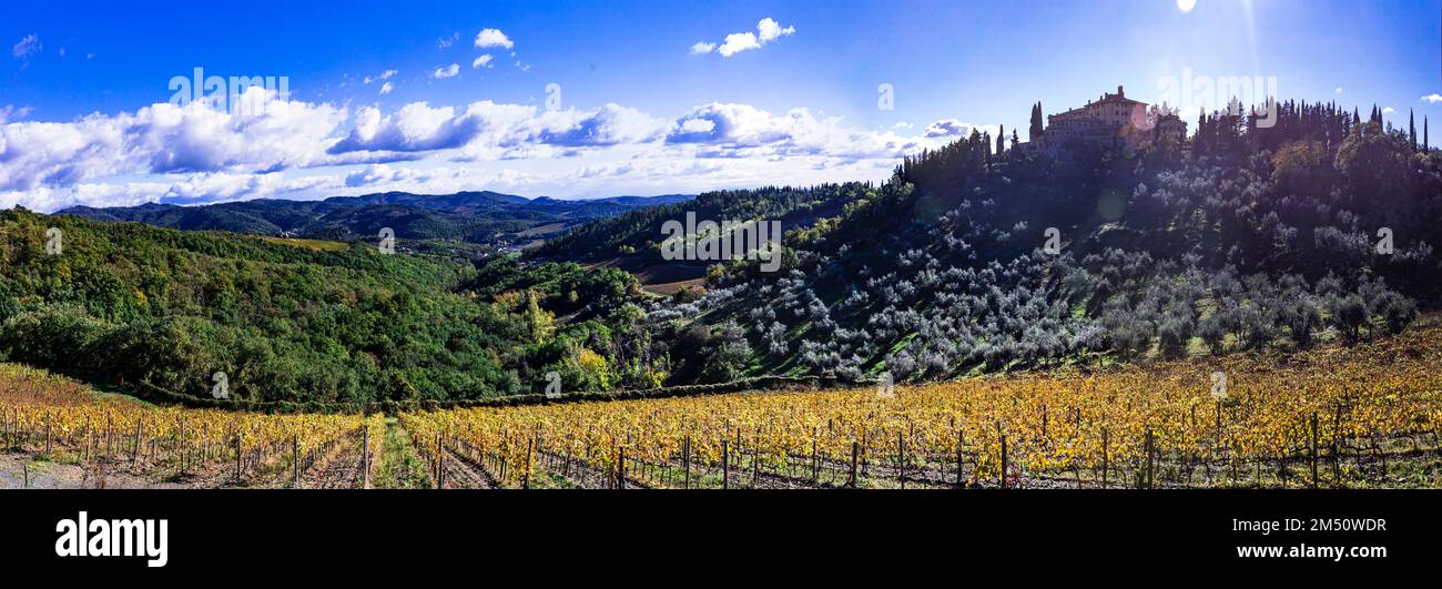 Goldene Weinberge der Toskana. Panorama mit gelben Herbstfeldern in der Weinregion Chianti in Toskana. Italien Stockfoto