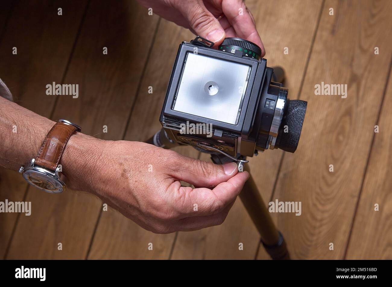 Männerhände fotografieren mit einer alten und alten 6X6- oder 120mm-Filmkamera auf einem Stativ. Blick von oben Stockfoto