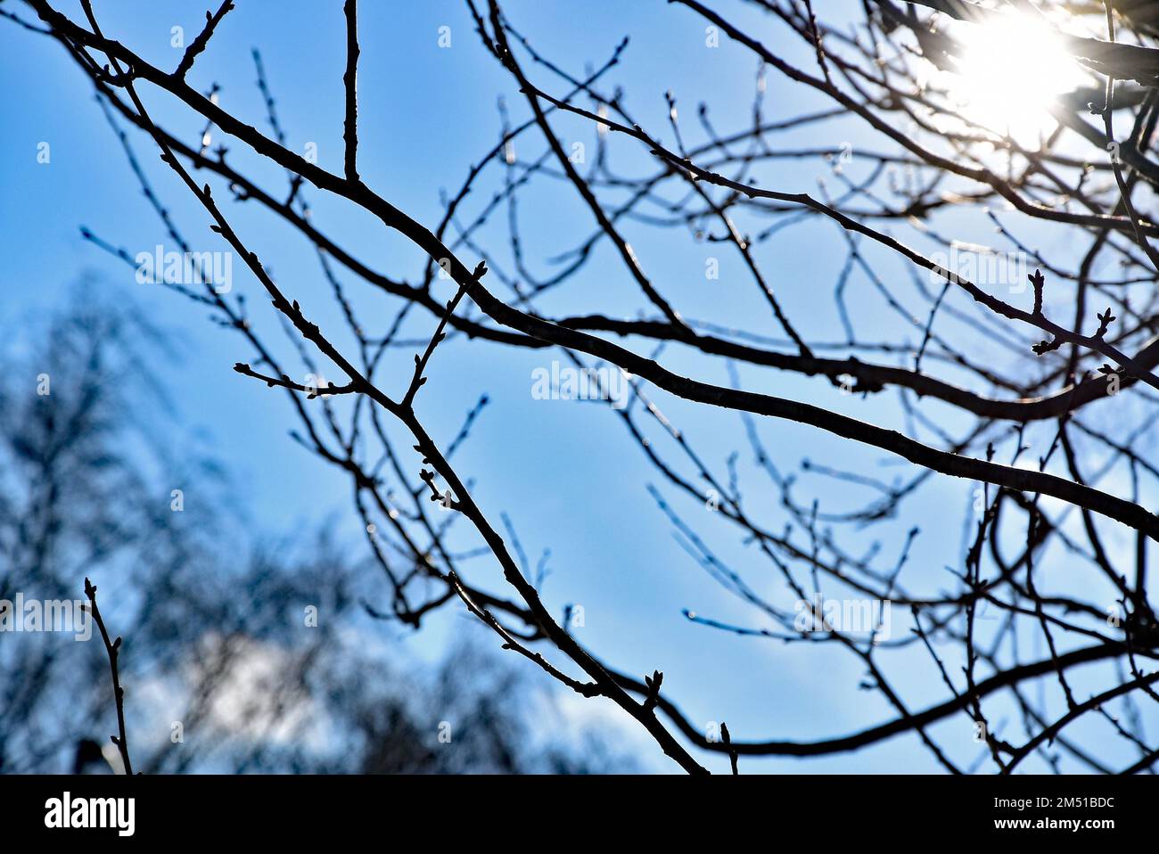 sonniger Wintertag Stockfoto
