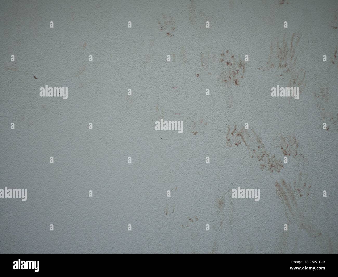 Die Fußabdrücke der Katze an der Wand Stockfoto