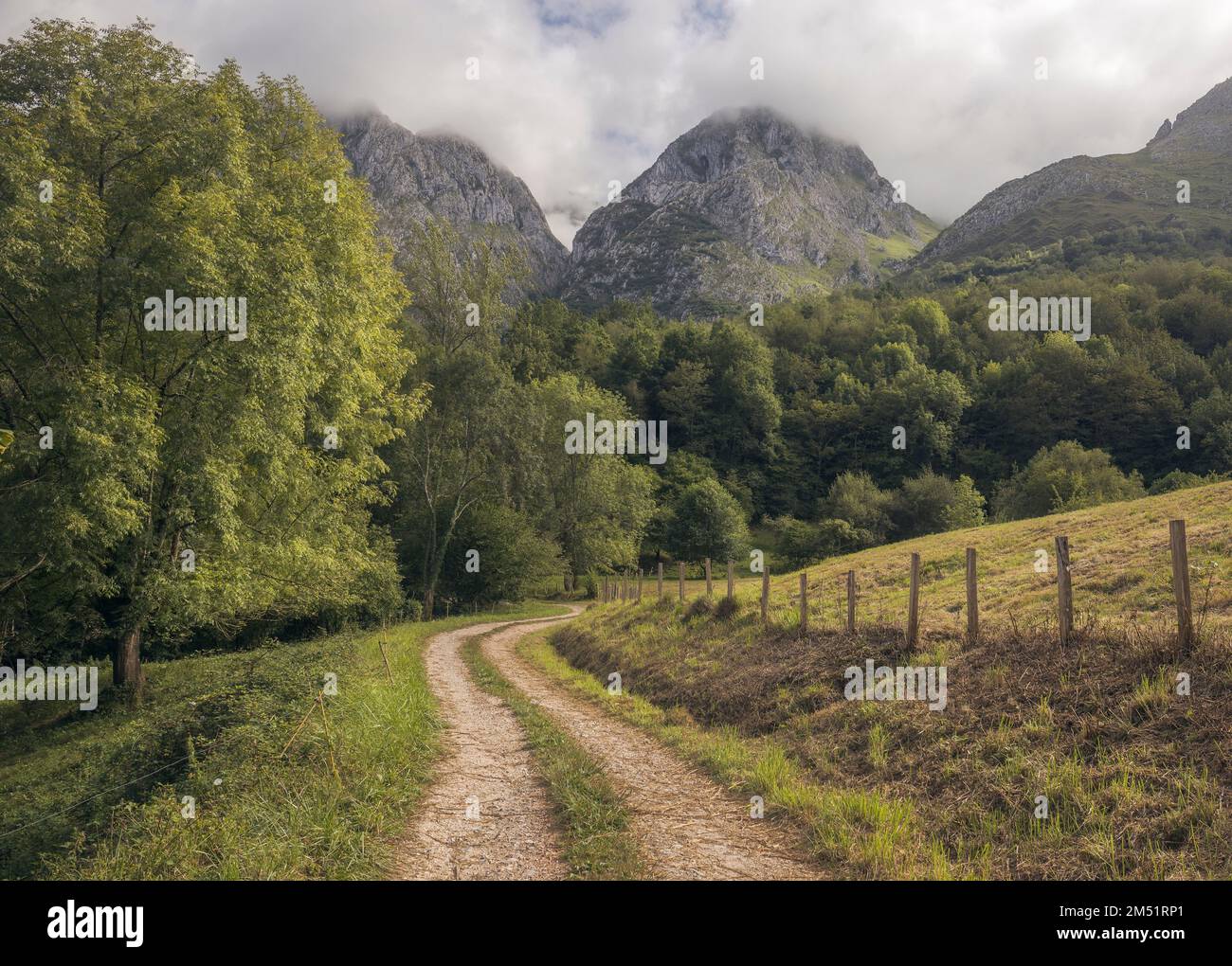 Pfad durch die Wälder in Picos de Europa, Asturien, Spanien Stockfoto