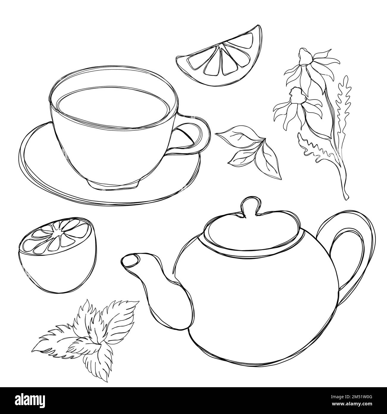 Teesammlung - Tasse Tee und Teekanne Teekanne Line Art. Tee mit Kamille, Zitronenspalten und Minze Stockfoto