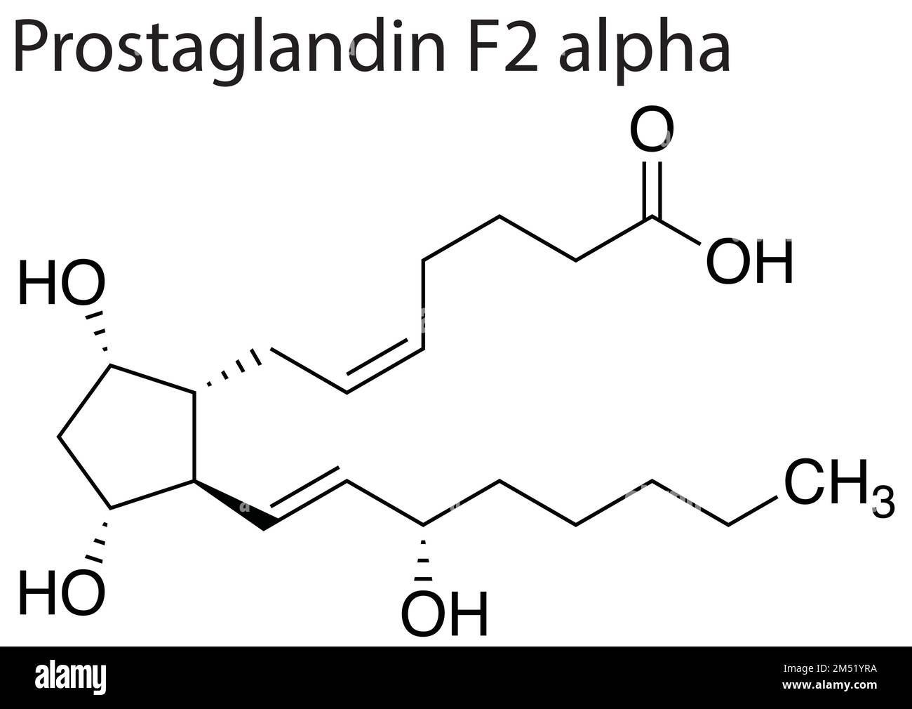 Eine chemische Formelstruktur von Prostaglandin F2 alpha auf weißem Hintergrund Stock Vektor