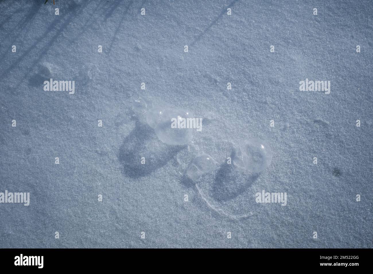 Auf dem schneebedeckten Boden liegen mehrere Seifenblasen und das Sonnenlicht wirft Schatten an einem eisigen Tag in Winte Stockfoto