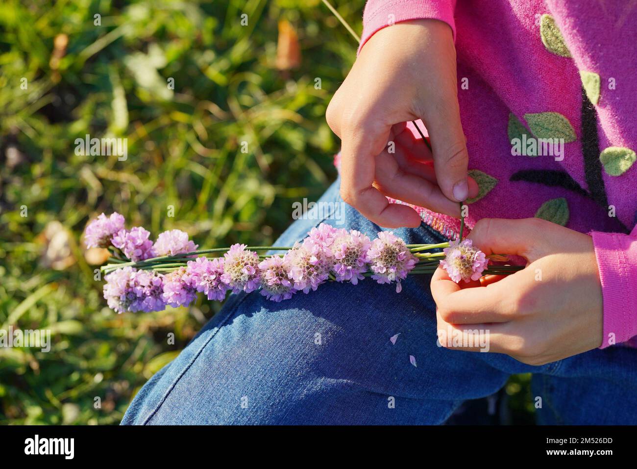 Die Hände des Kindes weben einen Kranz aus violetten Blumen Stockfoto