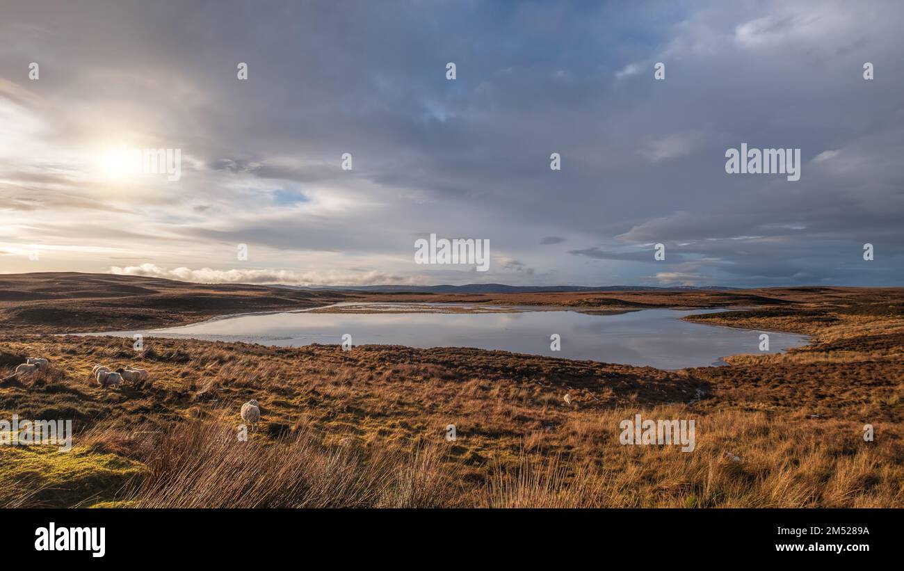 Loch Farlary blickt über Sutherland Stockfoto