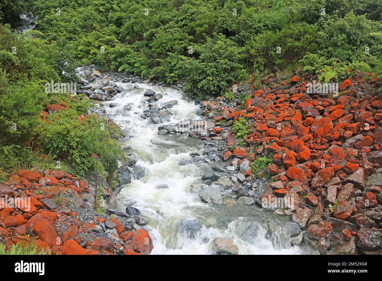 Rocky Creek - Neuseeland Stockfoto