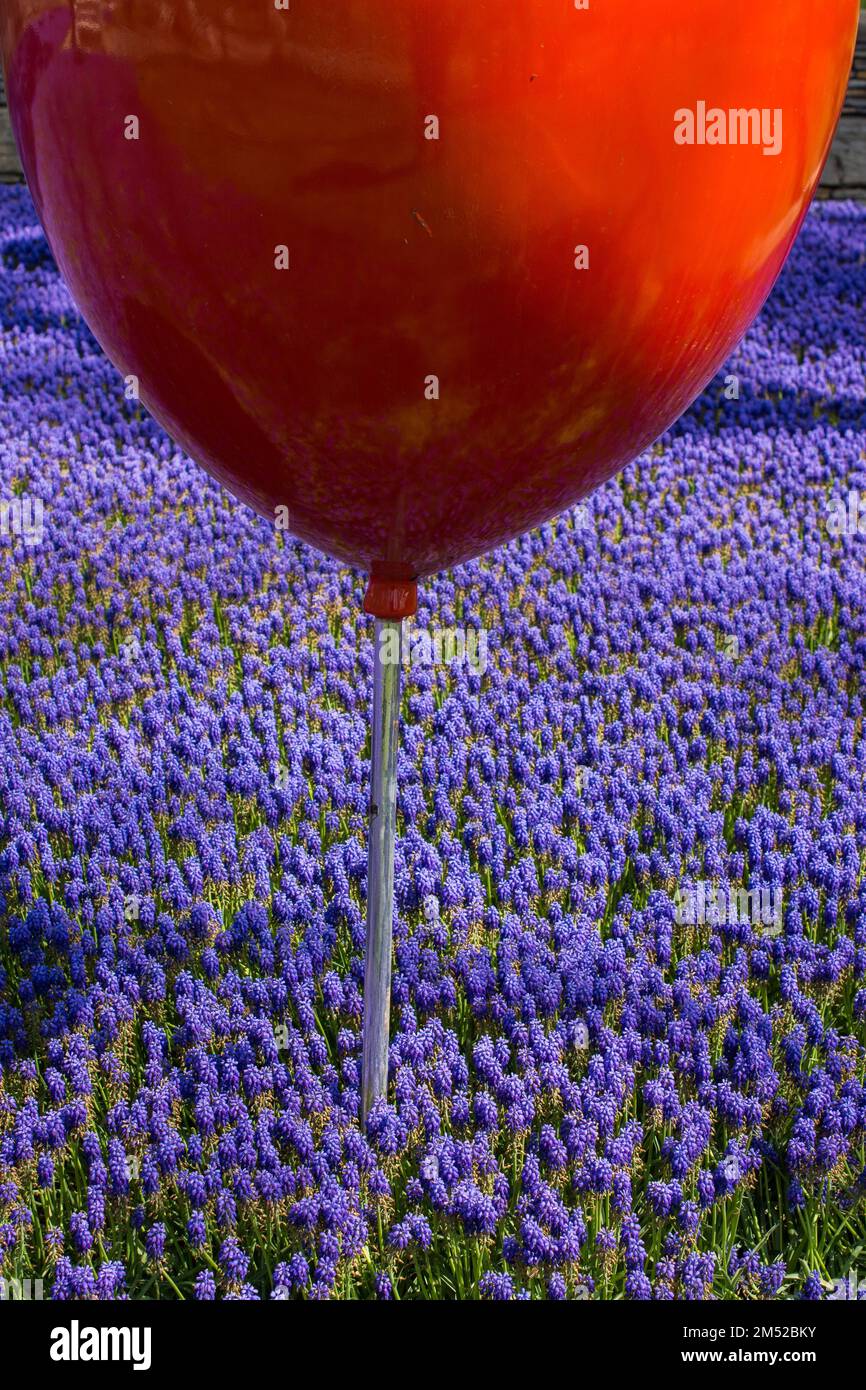 Ballon im botanischen Garten helle Blumengärten in voller Blüte Stockfoto