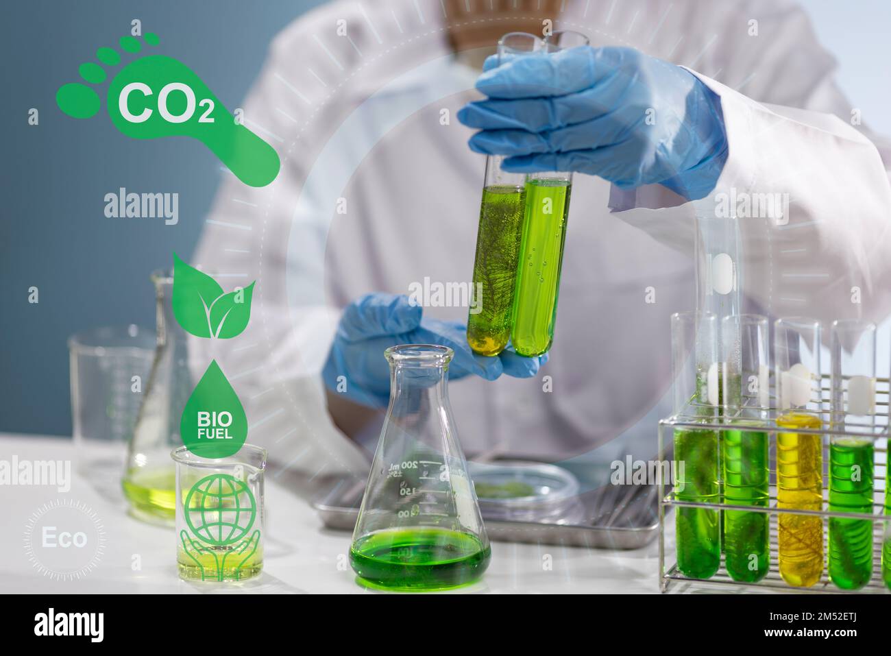 Biokraftstoff aus Algen hat einen niedrigen CO2-Fußabdruck. Stockfoto