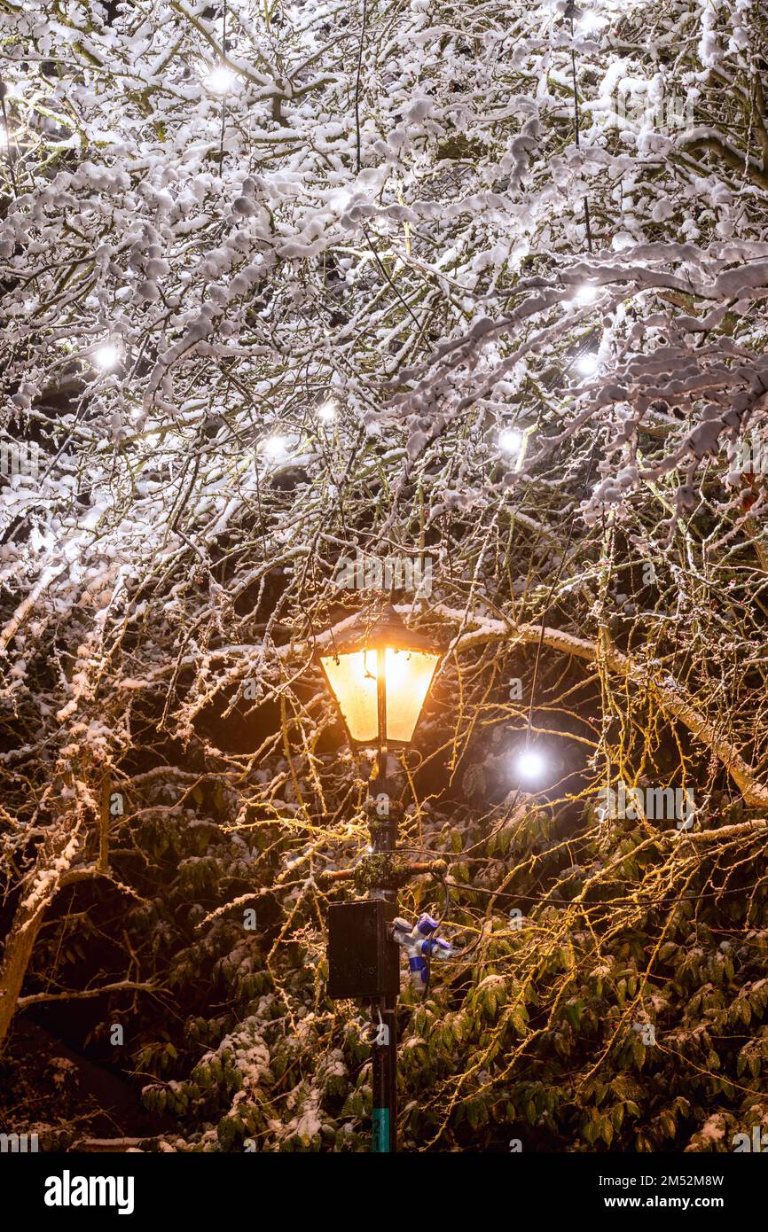 Straßenlampe und Weihnachtsbaumschmuck bei Nacht im Schnee. Broadway, Cotswolds, Worcestershire, England Stockfoto