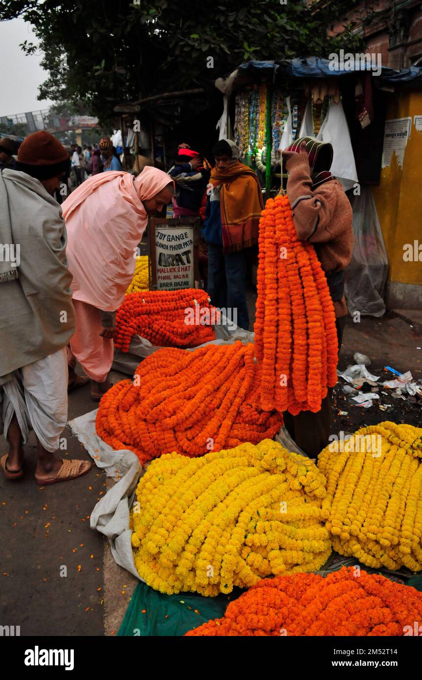 Mallick Ghat ist einer der größten Blumenmärkte in Asien. Szenen am frühen Morgen auf dem Markt in Kalkutta, Westbengalen, Indien. Stockfoto