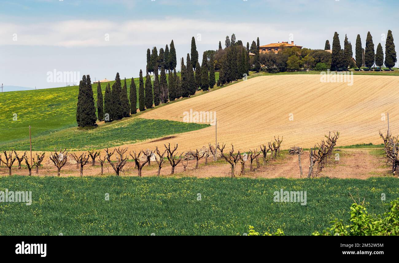 Blick auf die traditionelle toskanische Farm inmitten grüner Hügel Stockfoto