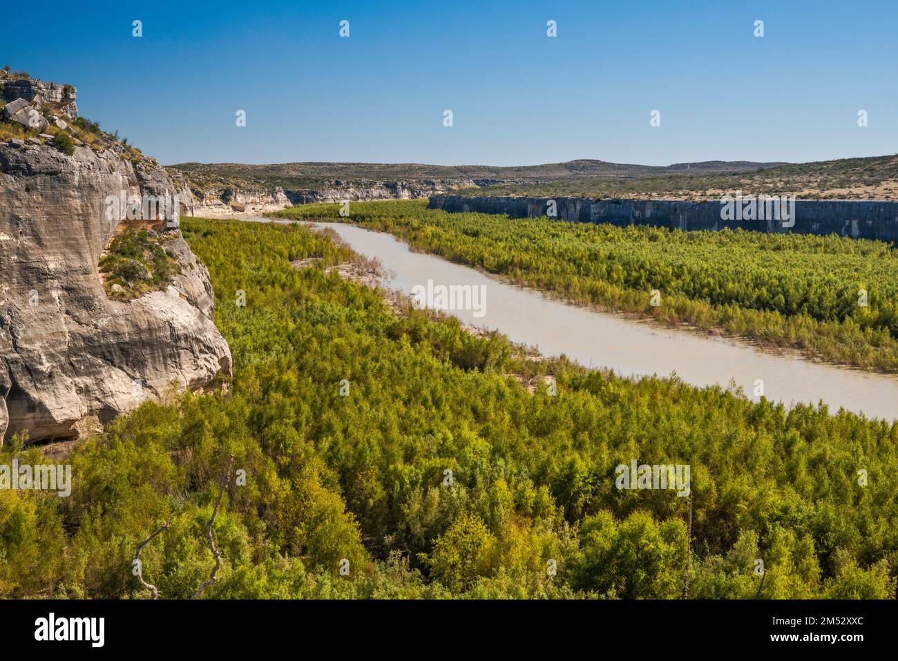 Rio Grande, ehemals überflutetes Gebiet am Amistad-See, nachwachsende Wälder, Blick von den Kalksteinklippen, Canyon Rim Trail, Seminole Canyon State Park, Texas Stockfoto