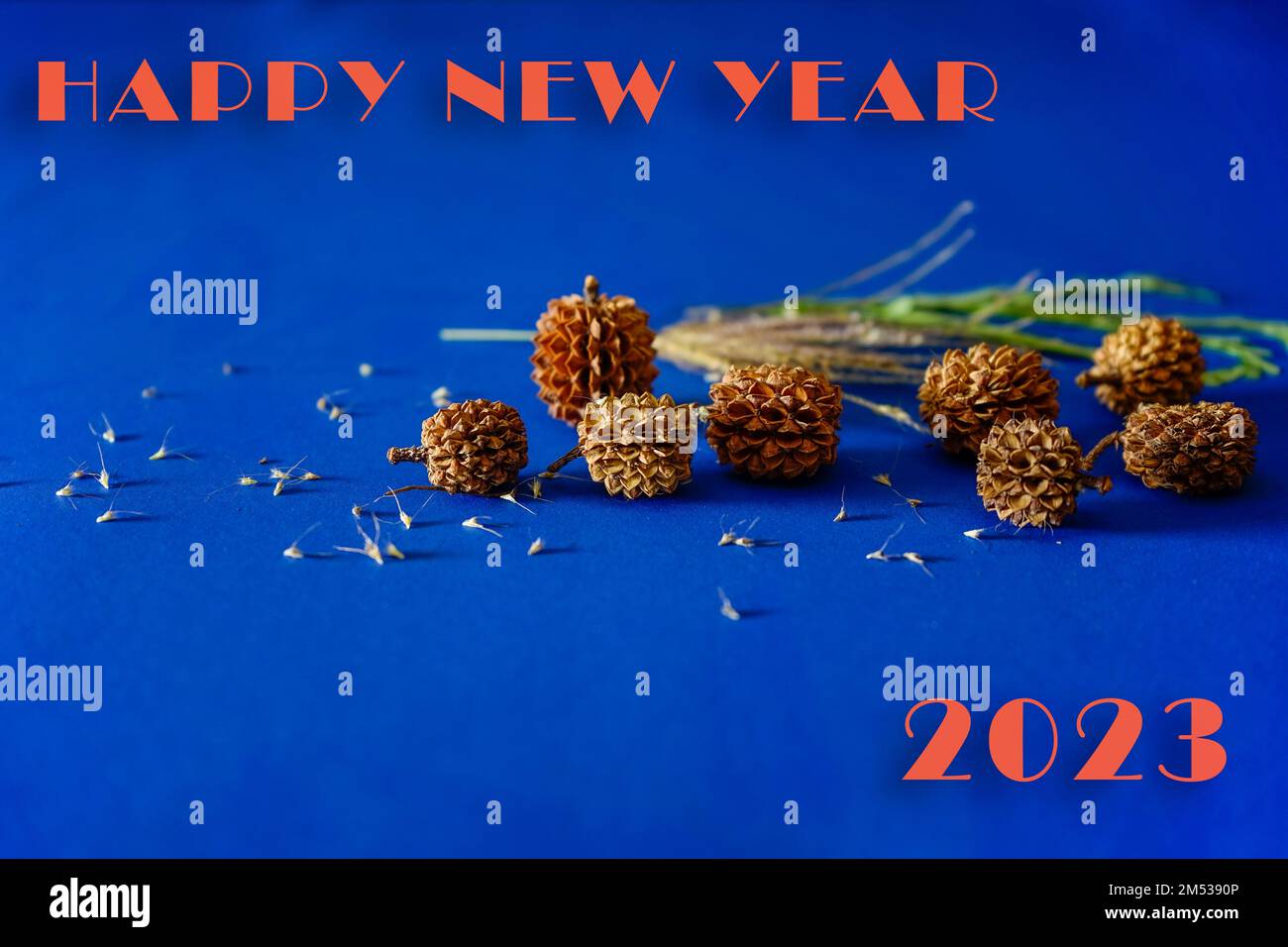 Grußkarte Frohes neues Jahr 2023, orangefarbene Zahl mit Kiefernzapfen und Verzierungen auf blauem Hintergrund Stockfoto