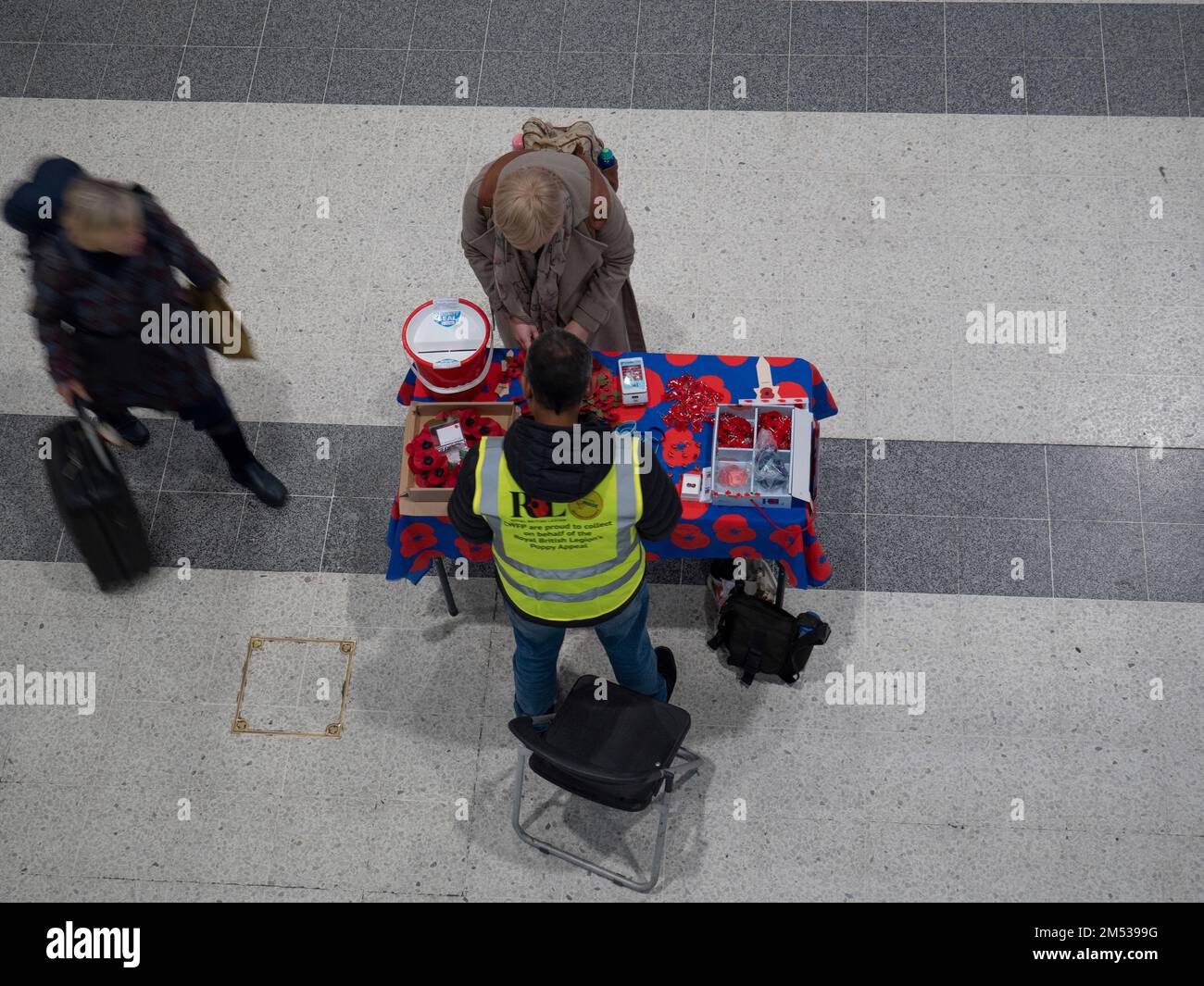 Melde dich freiwillig bei Poppy Appeal, um Mohn zu verkaufen, für die Royal British Legion Stockfoto