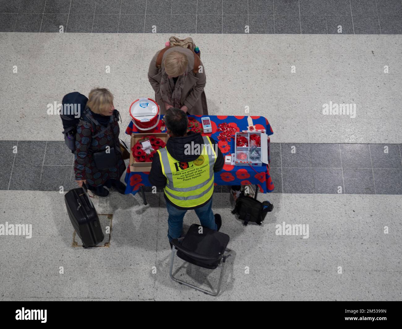 Melde dich freiwillig bei Poppy Appeal, um Mohn zu verkaufen, für die Royal British Legion Stockfoto
