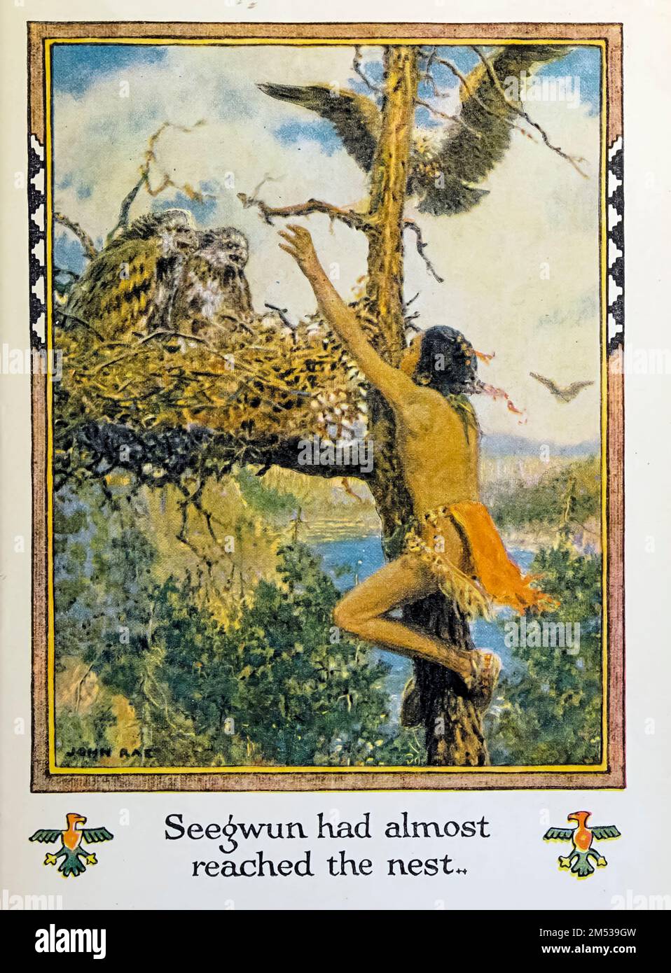 Seegwun hatte fast das Nest erreicht. Illustriert von John Rae aus dem Buch " American Indian Märchen " von William Trowbridge Larned, Publikationsdatum 1921 Publisher New York, P. F. Volland Stockfoto
