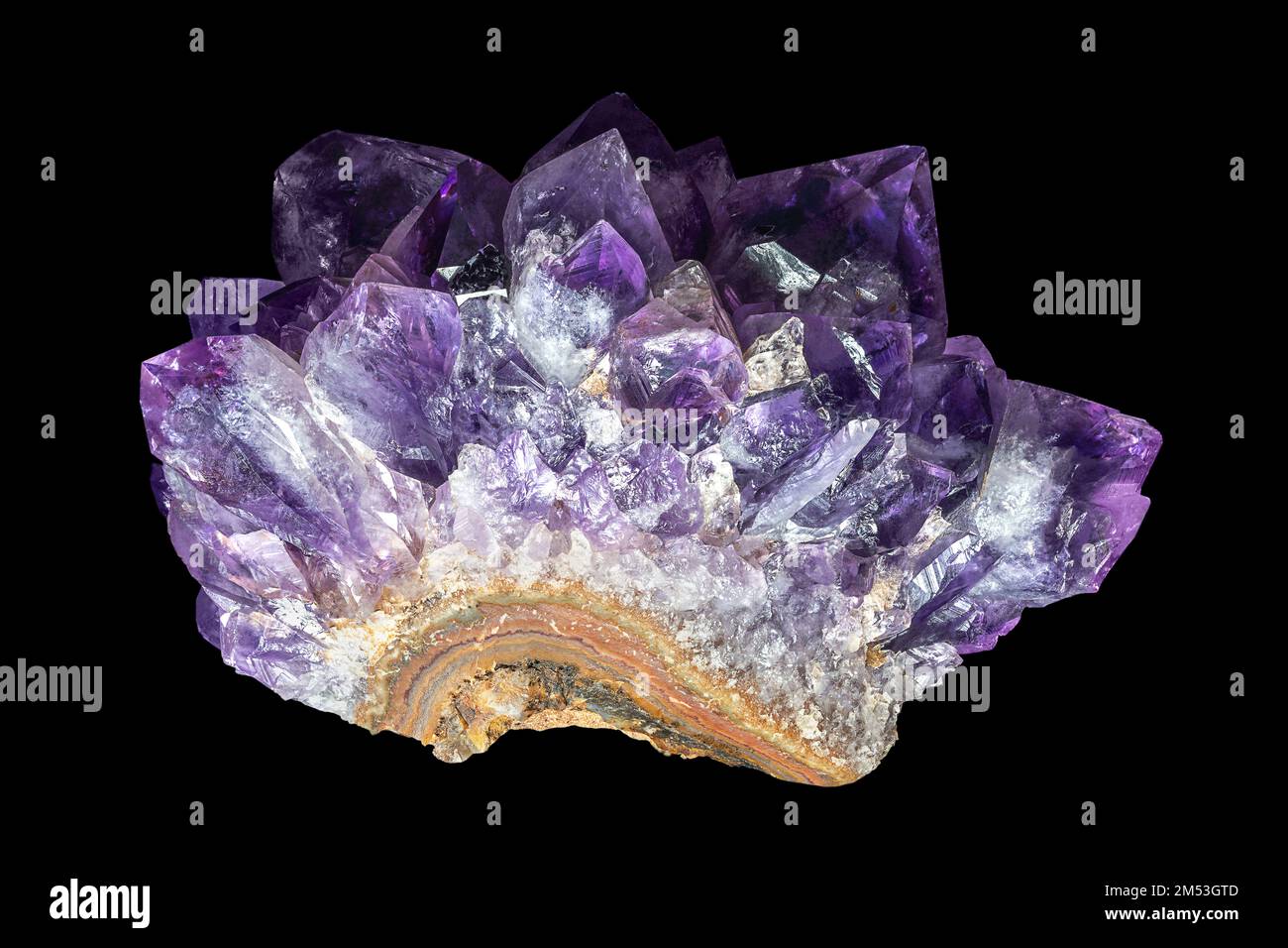 Amethyst, Teil eines Geodes, auf schwarzem Hintergrund. Eine Vielzahl von Quarz in natürlicher Dunkelviolett- und Violettfarbe. Ein halbwertvoller Stein. Stockfoto