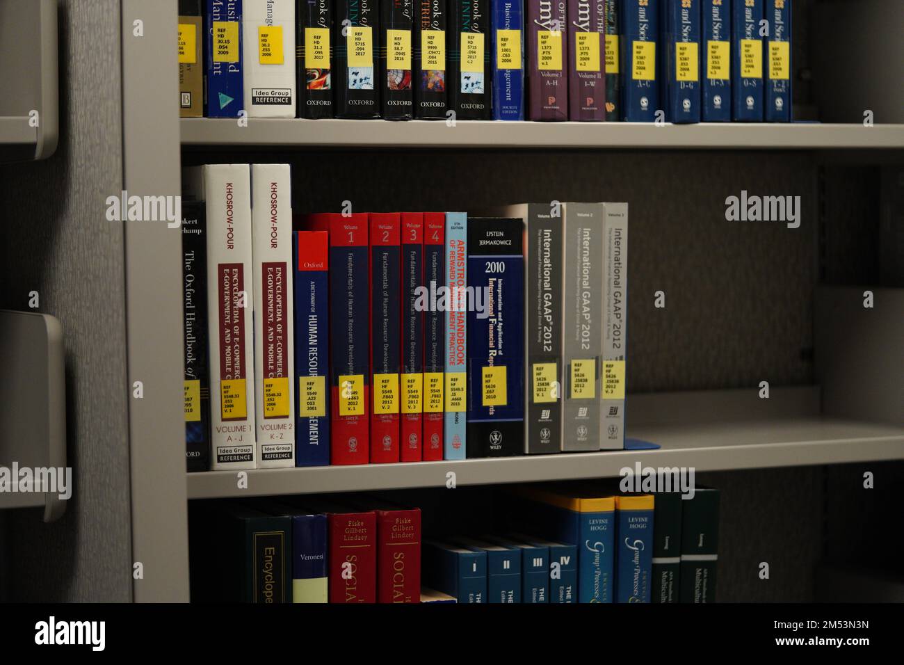 Bibliotheksbücher, Scince- und Technologiebücher, viele Bücher in Bibliotheksregalen an der Universität oder Schule. Stockfoto