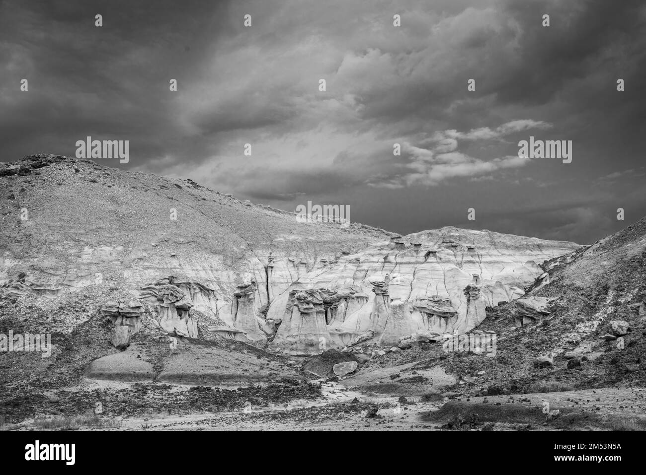 Foto der Bisti/De-Na-Zin Wilderness Area, einem wunderschönen Ort mit erodiertem Ton und Rock Hoo Doos, südlich von Farmington, New Mexico, USA. Stockfoto