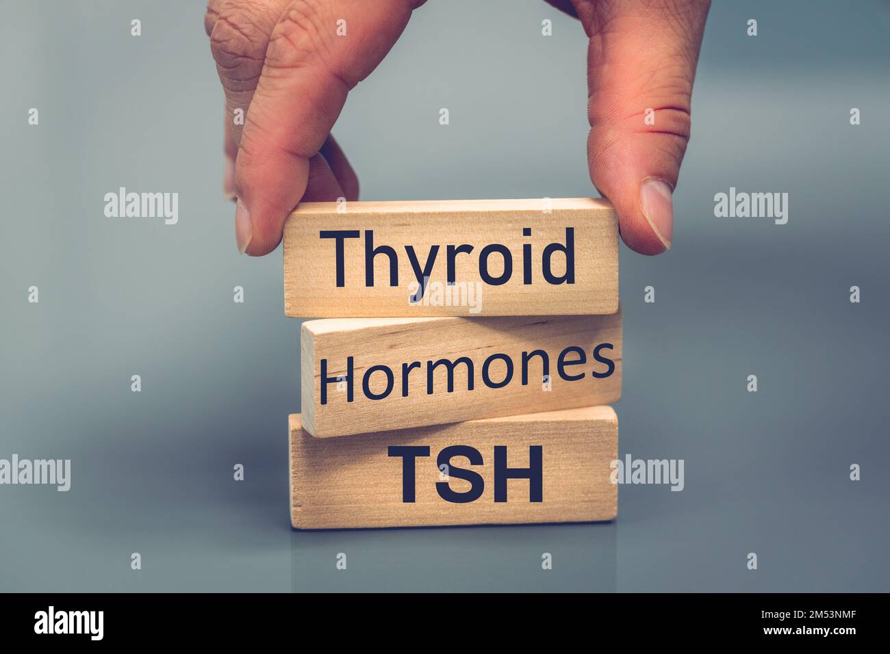 Schilddrüse, Hormone, tsh, Gesundheitskonzept, endokrine Drüsenstudie, Menschliches endokrines System, Energiebilanz, Stoffwechselregulation, Hyper- und Hypothyreose Stockfoto