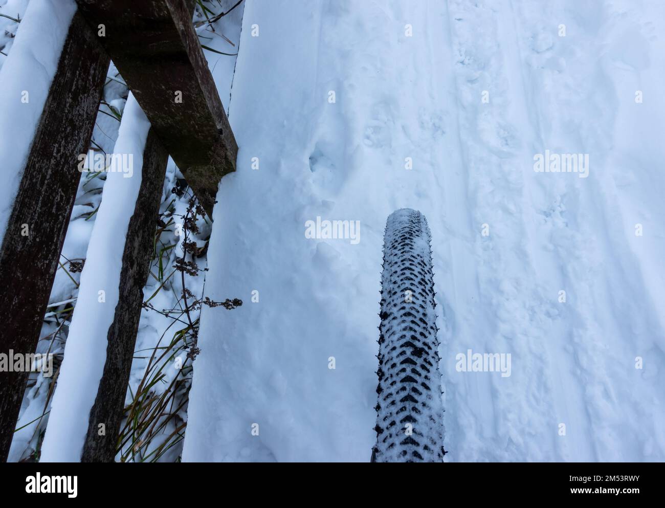 Ein schneebedeckter Fahrradreifen während einer Winterfahrt auf schneebedeckten Pfaden Stockfoto