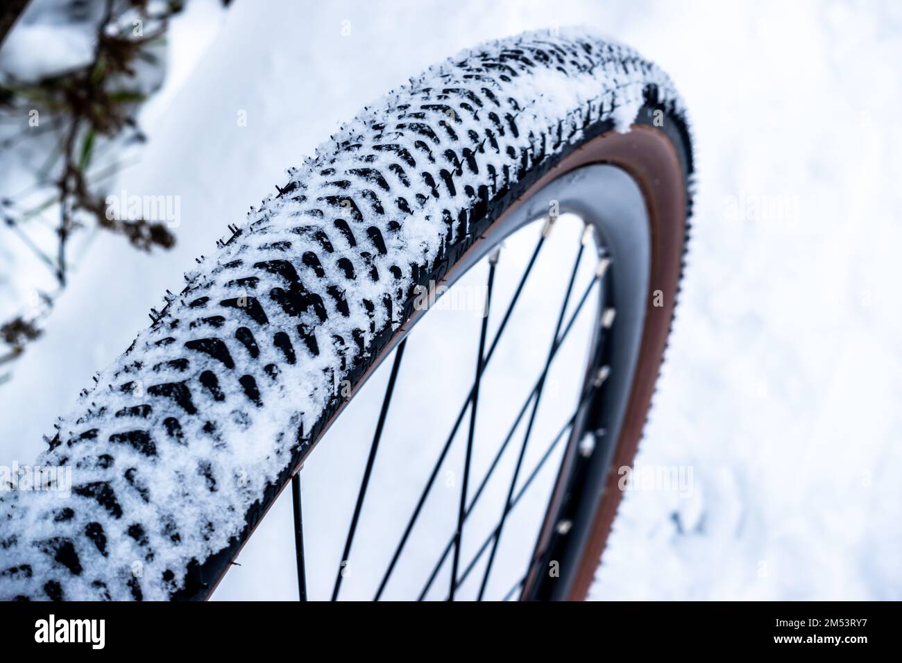 Ein schneebedeckter Fahrradreifen während einer Winterfahrt auf schneebedeckten Pfaden Stockfoto