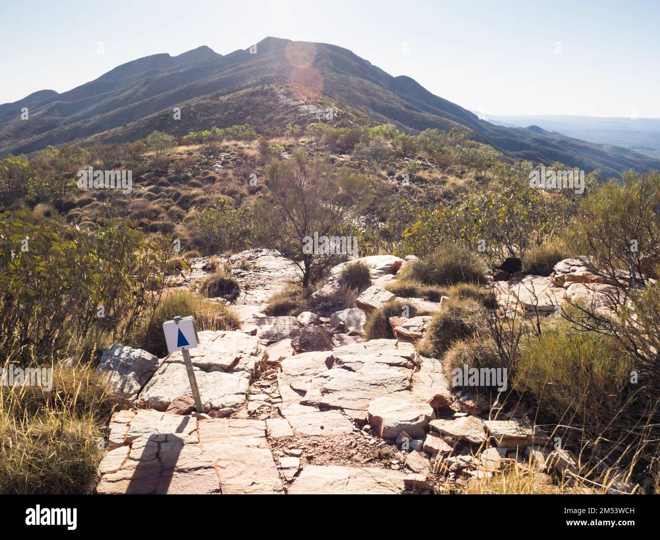 Abschnitt 12 des Larapinta Trail zum Gipfel des Mt Sonder (1380m), West MacDonnell (Tjoritja) National Park, Northern Territory, Australien Stockfoto