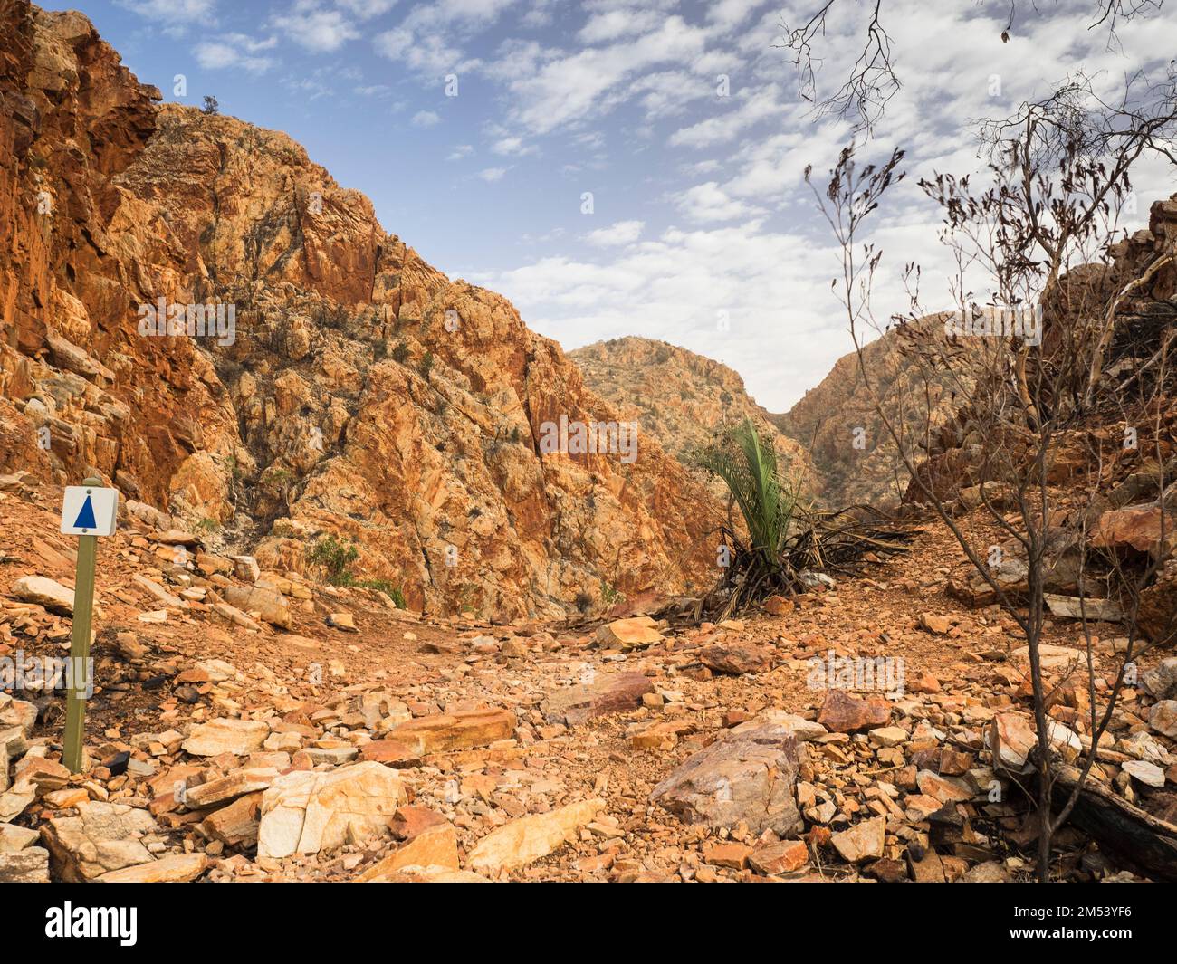 Auf einem Pass auf Abschnitt 3 des Larapinta Trails, West MacDonnell (Tjoritja) National Park. Stockfoto