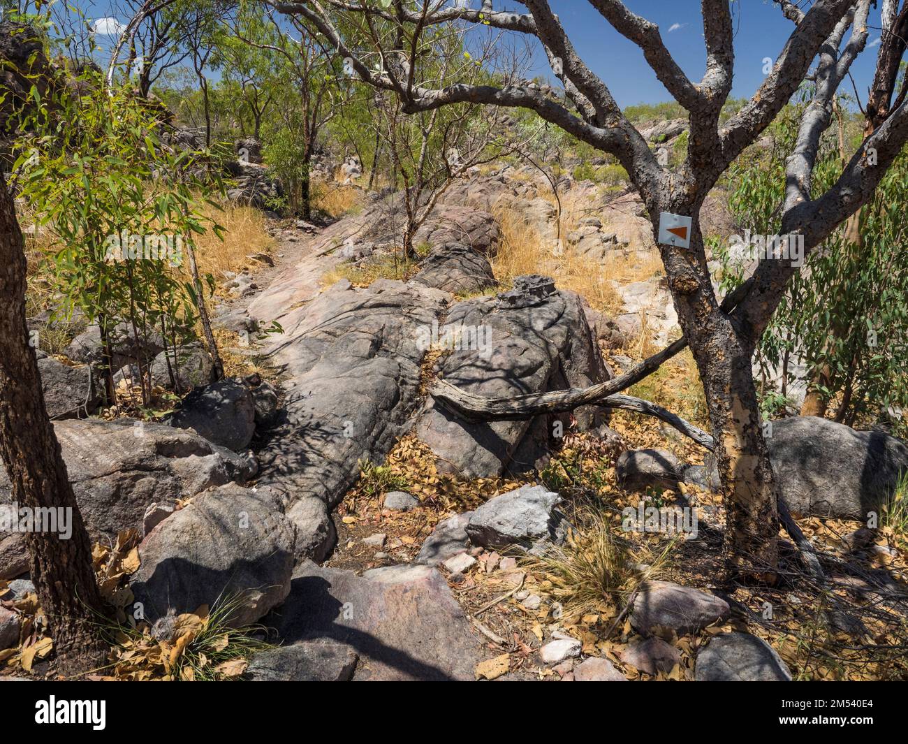 Rundwanderweg Pfeil in Stone Country nach Bemang Lookout, Edith Falls (Leliyn), Nitmiluk National Park, Northern Territory Stockfoto