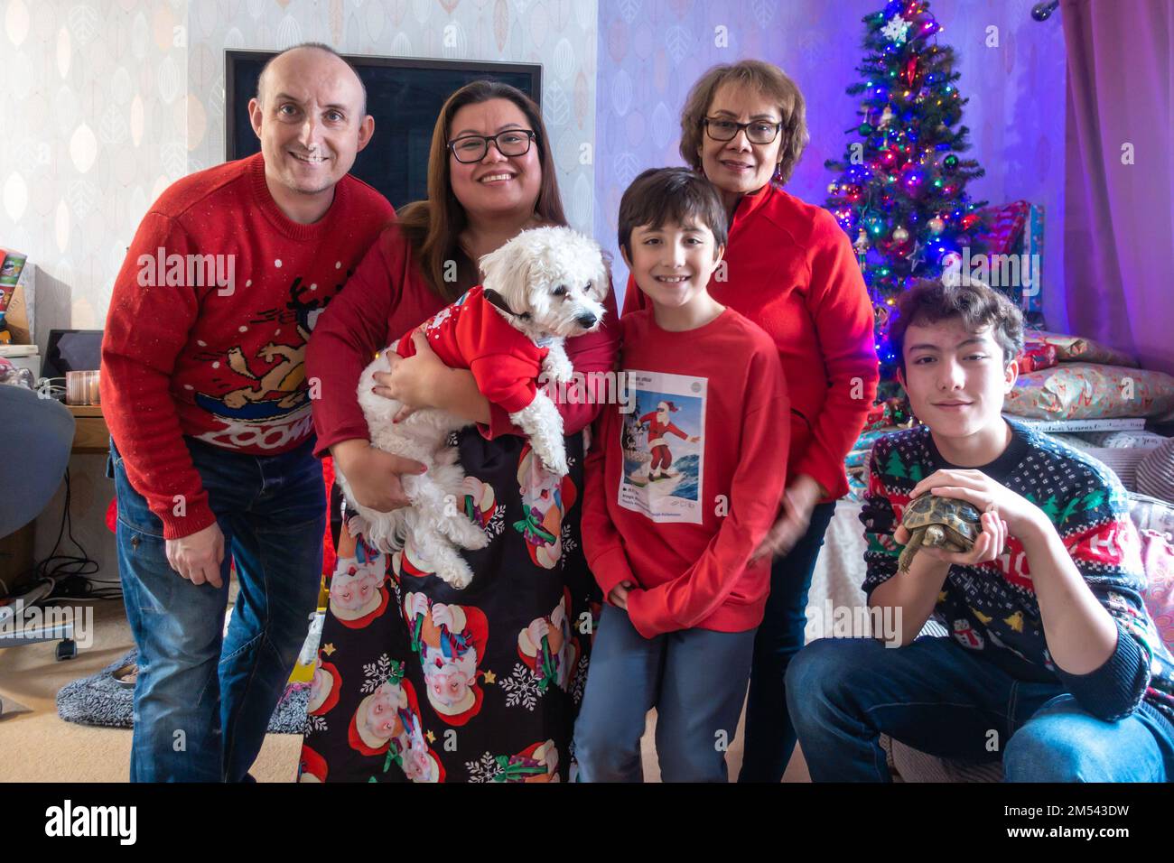 Eine Familienposition für ein Porträt mit ihrem kleinen weißen Cavapoo-Hund und Hausschildkröte am ersten Weihnachtsfeiertag Stockfoto