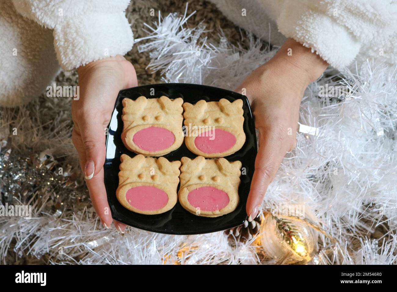 Festliche cookies Stockfoto