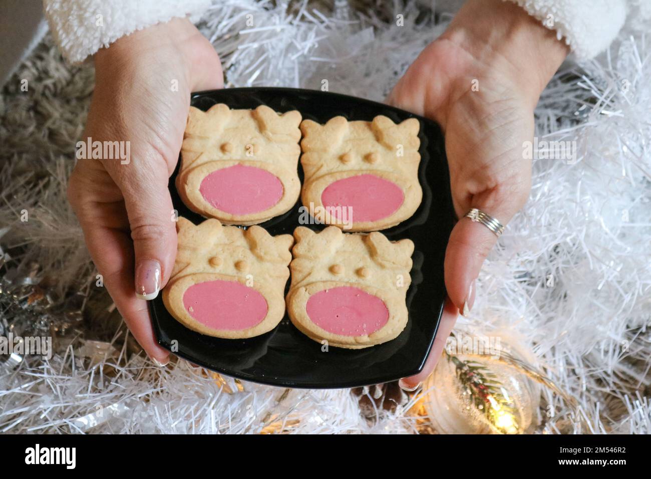 Festliche cookies Stockfoto