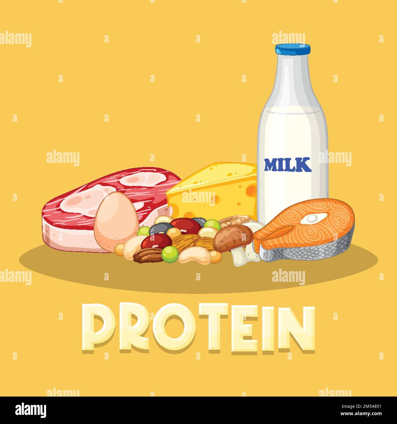 Vielfalt an Proteinnahrung mit Textabbildung Stock Vektor