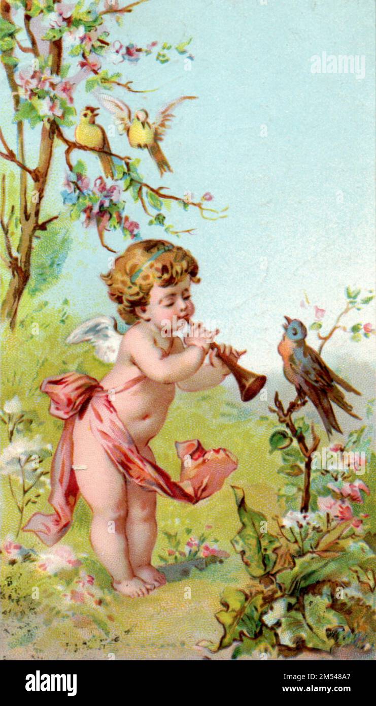Atemberaubender Vogel - 1904 handgemalte alte Postkarte mit Engelchen, die für einen Gartenvogel spielt. Stockfoto